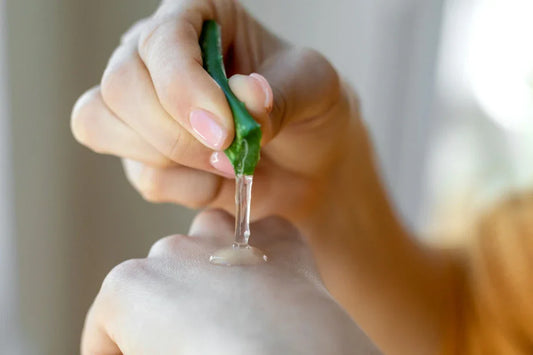 Aloe Vera